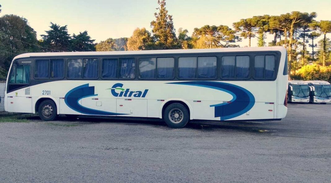 Citral 1