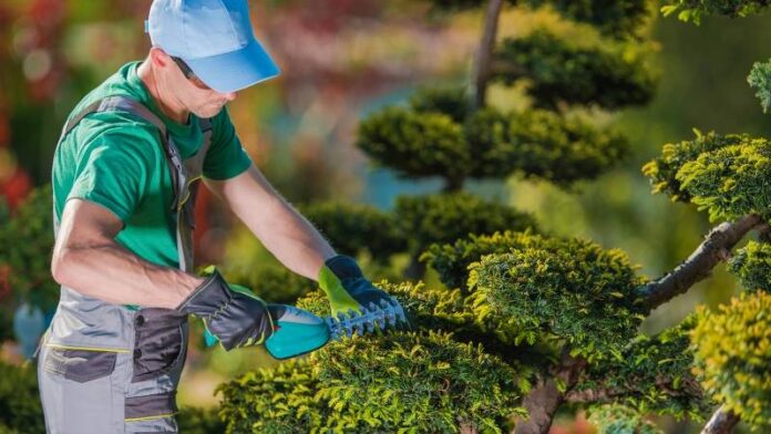 Curso de jardinagem será o primeiro ofertado e começa no próximo dia 19