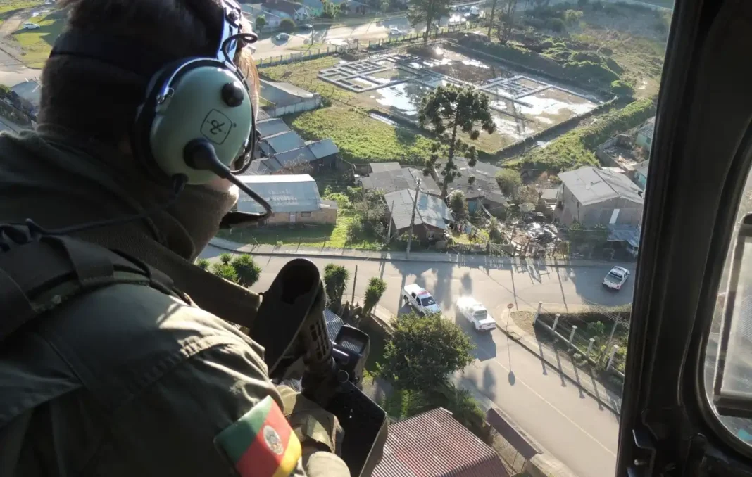 aerea2