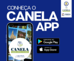 336×280 abril Canela