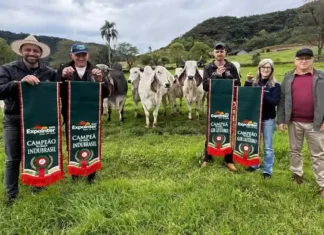 Agroindústrias e Cabanha de Gramado foram premiadas na 48ª Expointer