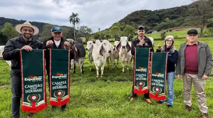 Agroindústrias e Cabanha de Gramado foram premiadas na 48ª Expointer