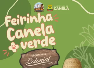 Feira Canela + Verde terá edição especial durante a Festa Colonial