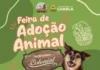 Feira de adoção do Cempra acontece de sexta-feira a domingo na 32ª Festa Colonial