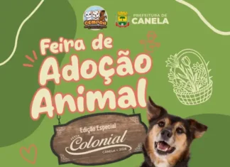 Feira de adoção do Cempra acontece de sexta-feira a domingo na 32ª Festa Colonial