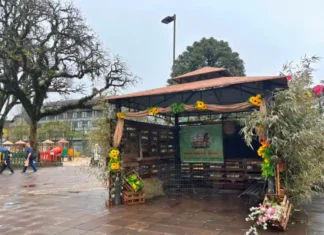 Cempra promove feira de adoção animal e ação da Campanha do Agasalho Pet na 32ª Festa Colonial
