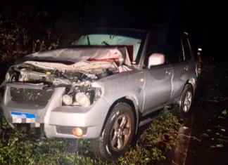 Chuvas e ventos fortes mobilizam bombeiros por mais de sete horas em São Francisco de Paula