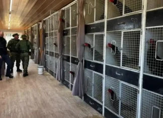 Liminar suspende sacrifício de aves apreendidas em Gramado após mandado de segurança da defesa