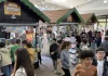 Feira do Livro de Gramado acontece de 3 a 13 de setembro com intensa programação cultural e artística