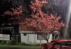 Frio intenso marca fim de semana e traz precipitação invernal à Serra Gaúcha