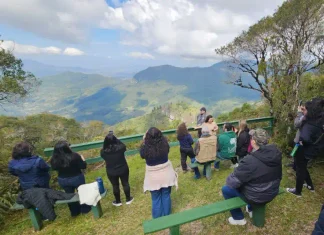 Projeto Loboguará transforma a natureza do Pró Mata em uma sala de aula com experiência imersiva