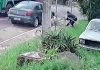 Polícia Civil esclarece morte de pitbull em Canela e aponta que animal foi contido para evitar novos ataques