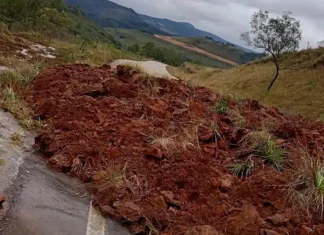 Barreira cai na ERS-110 e bloqueia totalmente rodovia entre São Francisco de Paula e Bom Jesus