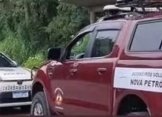 Homem é preso por maus-tratos a cachorro em Nova Petrópolis; animal perdeu a visão de um olho