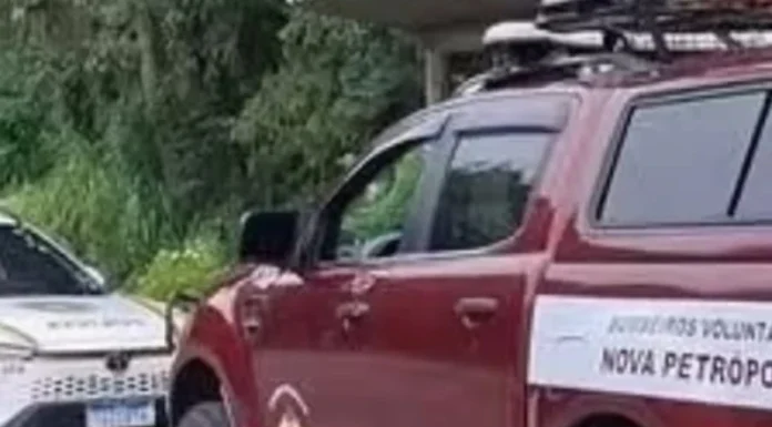 Homem é preso por maus-tratos a cachorro em Nova Petrópolis; animal perdeu a visão de um olho