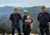 Bombeiros realizam resgate em altura para salvar cão preso em cânion de Gramado