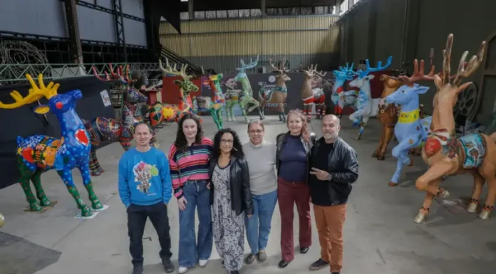Natal Luz de Gramado terá obras de 14 artistas locais expostas na Rua Torta